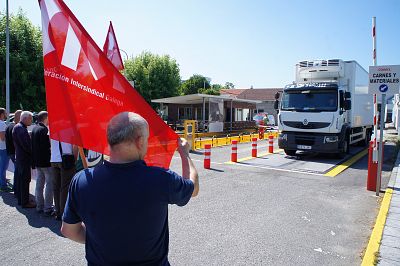 2016 08 06 ManifaServicarneFrigolouroPorrinho24.JPG